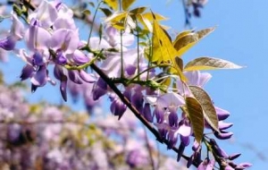 ����������ͣ��С�^�����ٻ�������