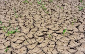 ���K�ϲ��غ�����������A��