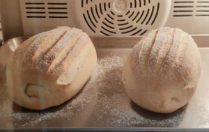 �z�^������ڼ��p��������������ζ