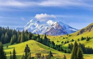 �ĄӲ��ѣ��ڴ����£��������ǾGҰ��ۙ