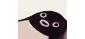 ����һ�꼉����F������У�� ָ����I���塢���߀�����ӡ����ˣ�