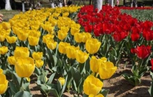 Īؓ���⣡��ꎽ��^��׽��Щ�k���Ļ�Ӱ