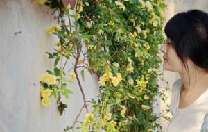 ꖹ����� ΢�L(f��ng)������ǳ��T���g�ĺÕr(sh��)�C(j��)