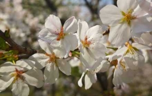 �֙C(j��)�S���ģ��p�������M���۵�