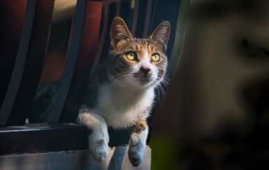 �R�^ӛ�˲�g���c�m�@؈�乲�Ȝ�ܰ�r(sh��)��