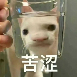 ȥ���ؑc����̫�࣡�������г���������ڸ㲻����ꎾ�Ȼ�]ҹ����