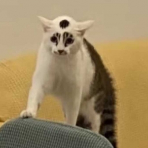 ���خa�����ˣ�����Խ��Խ�y�������X���]��ǰ�ǹɸɄŃ��ˣ�