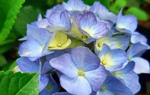 �C��ʢ�_���F(tu��n)�F(tu��n)�ش�չ���շҷ�