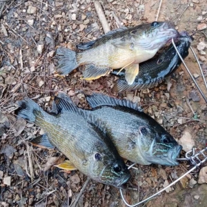 ͵�ø��������e��ˮ��������חl̫��~