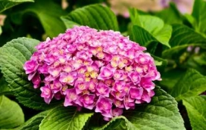 ���@�C��չ������ƻõ�ҕ�Xʢ��