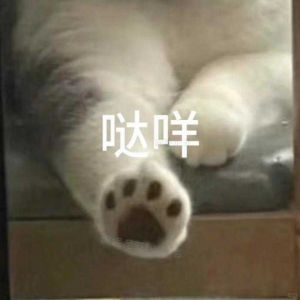 ����׌�Ҏ����_�I�������Ҳ�̫�����U������Ҫ��æ����ֱ�ӽo�t��