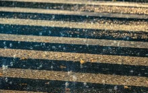 ���6��11���M��÷�꼾