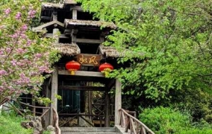 С���L(f��ng)�⣺Ұ�U���L�����������^�f���^