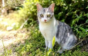 �z�Ѷ���˲�g��؈؈��ǧ�˰ّB(t��i)������ȫ�_