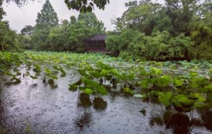 ���еı������@����������δ�����֐���