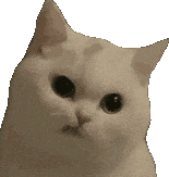 �ǳ������V�b�����շ�����������(du��)�����ϳГ�(d��n)�b���M(f��i)����߀Ҫָ���b���L(f��ng)��