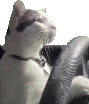 ��Ҷ��fٍ�����X���������У���ô����Ȧ������������