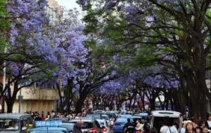 �����{���ʢ�ţ��{��ɫ���كA����a����ǽԻþ�