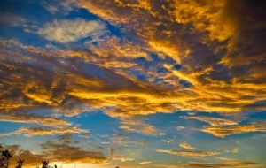 ��ꎽ�ϼ���죺�����۽��ƶ������S���