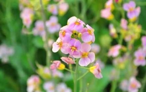 �R�^�µĻ��������������������޶��Ą�(d��ng)