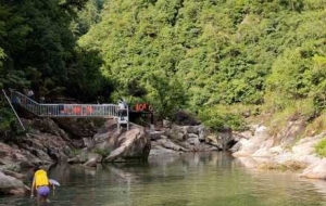 �[��ʽ���У������˯���X����ԓ��ȥ��(d��ng)ţ�R��