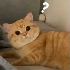 ����(j��ng)ͬˮƽ�����ѻ�����(y��u)Խ�������ﲻƽ�⣬�����������Ĺ��r����ǲ�����������(w��n) ...