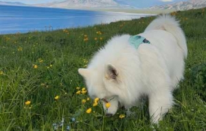 ���M��Ȼ�ѱ������x���П��ˣ��ڲ�ԭ�cɽ�L����