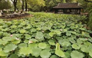 ���T�ڵĺ������ɻ����G ���箋��