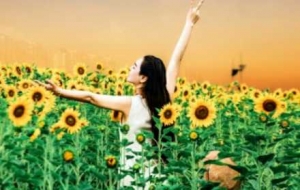 �z�ѷ��������տ�ʢ�ŕr�̣����SһƬ��������