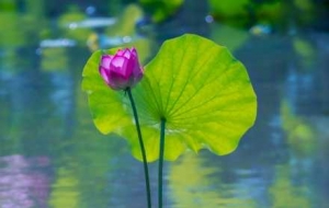 �ֵ�һ���p�ɕr���L�Ӻ��㣡һ�ۜS������������