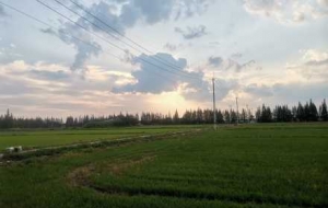 С�����r�⣺�T��H���L������һ·�L��