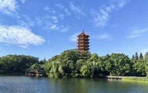 �ؑc�������@�̽�����ɻ�����`�ţ�Ԋ���c�Ļ�����