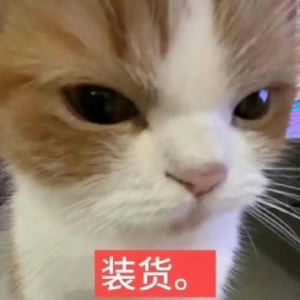 ��Щ�˿���������С���Tһ�P�Ĳ�һ�ӣ��ضκ�����ȫ������ɱ��͡�ĳЩ���ӗ����o���� ...