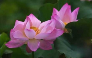 �L�ܖ|˴�����ɻ��ˑB��һ���L�������@�G������