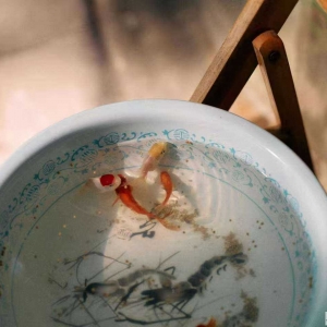 �^��30�q�r�gһ���Ӻÿ죡���_ʼ�W�B�~