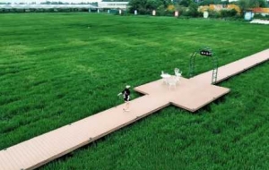 �����������С患��GҰ�g���󣡵������h��������