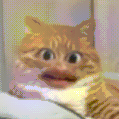 �ҽ�нһ�������Ź��Y���˴�������������Ѓ������ʂ��Լ��������c����