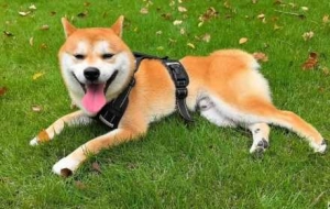 6:00AM�޹���������γ����L��o��ĳ��g�xʽ