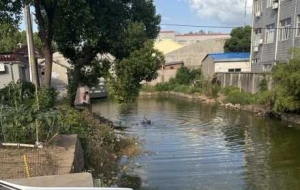 �����������°l(f��)���һ��߅.....