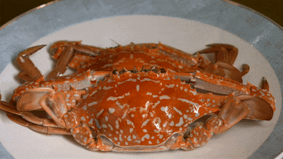 ����˵�����������@һ���r����؛