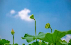 ���ճ�������һ݆���Ҹߜ؁���