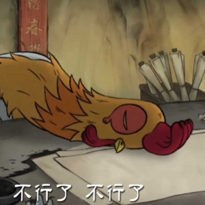 Ҫ�_�W�ˣ�ץ�o�r�g�棡ȥ����������ֻ�ܿ����ˣ��಻����