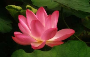 �Ĕz���������ˮ���p�������ɻ���ɏ���L�˸���