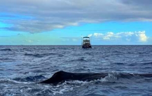 ����һ���o�H��ε�{�󺣣����Ϻ�����ô���C����