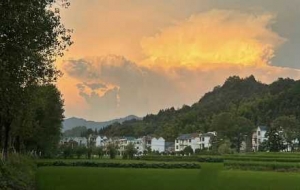 �S�ģ����L�p����β�ݣ��G�ⰻȻ���C��