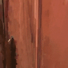 ��_���f�ָ��������f���hͣ�������һ�P