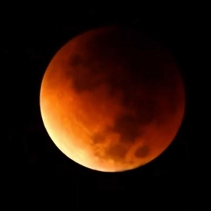 ��ȫʳ�Ĕz����Щ�]�f���ڵ�Ԓ�������¹�͵͵ Ҋ