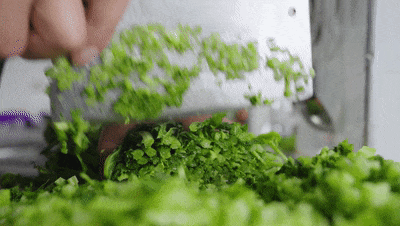 ���ţ�����˲����ϵĴ����