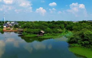 ���ļ��l�����{����Ƶ�ӳ����ˮ΢���p����Ԋ�箋