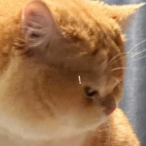 ����늄�܇���T�˃������ͣ܇߀Ҫ��5�K�{���M����